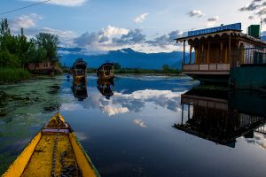 The River Through My Backyard by Pinki Sanyal