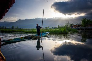 The River Through My Backyard by Pinki Sanyal