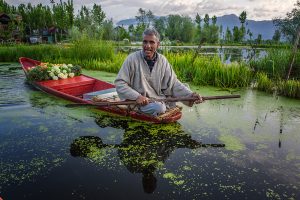 The River Through My Backyard by Pinki Sanyal