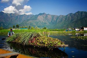 The River Through My Backyard by Pinki Sanyal