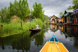 The River Through My Backyard by Pinki Sanyal