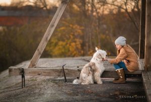 You’ve Got A Friend by Sandra Jolly