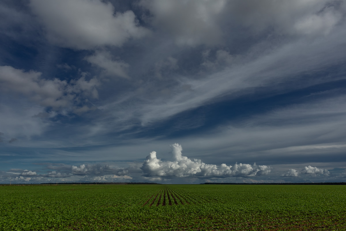 An Amazonian Story: Xingu - Indigenous Territory By Renato Stockler