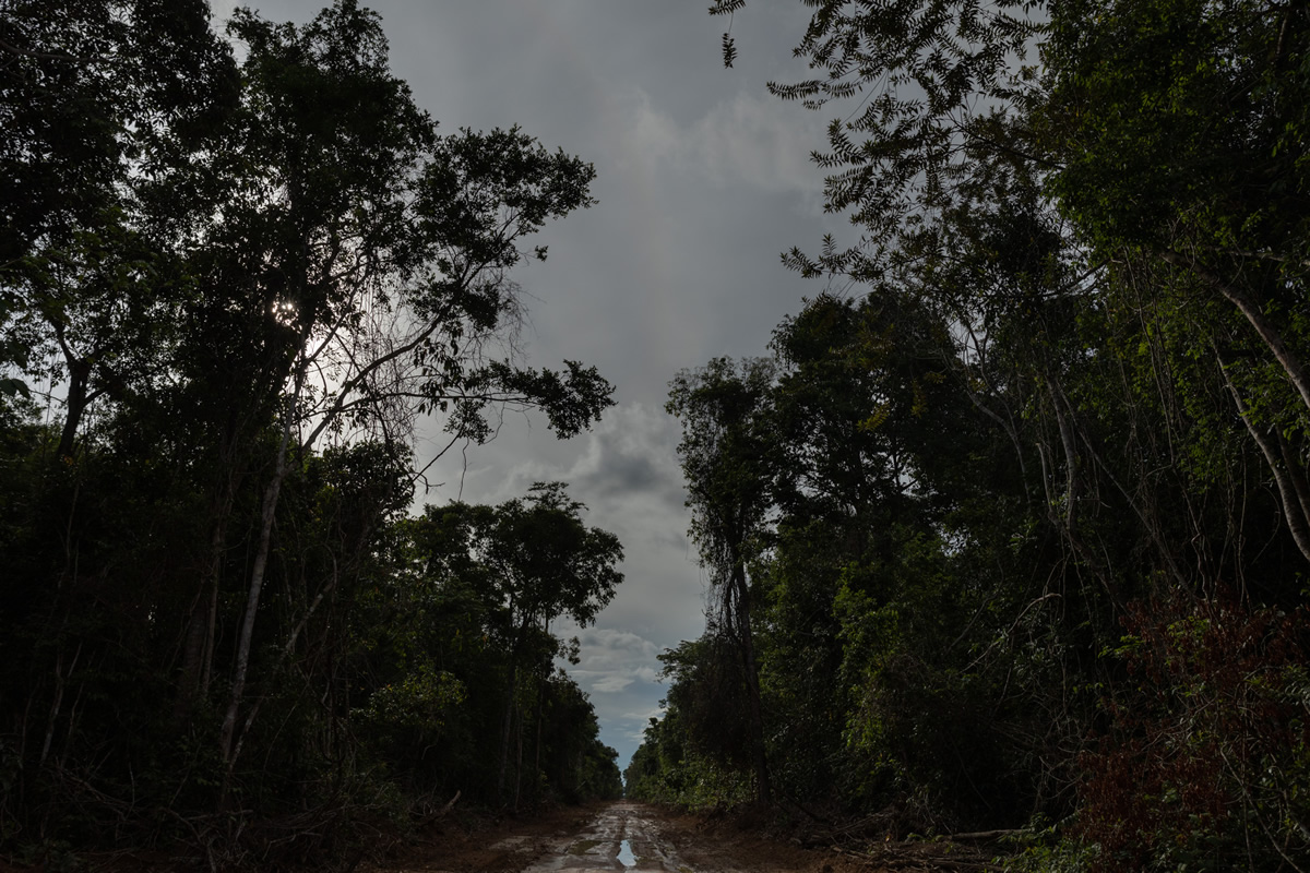 An Amazonian Story: Xingu - Indigenous Territory By Renato Stockler