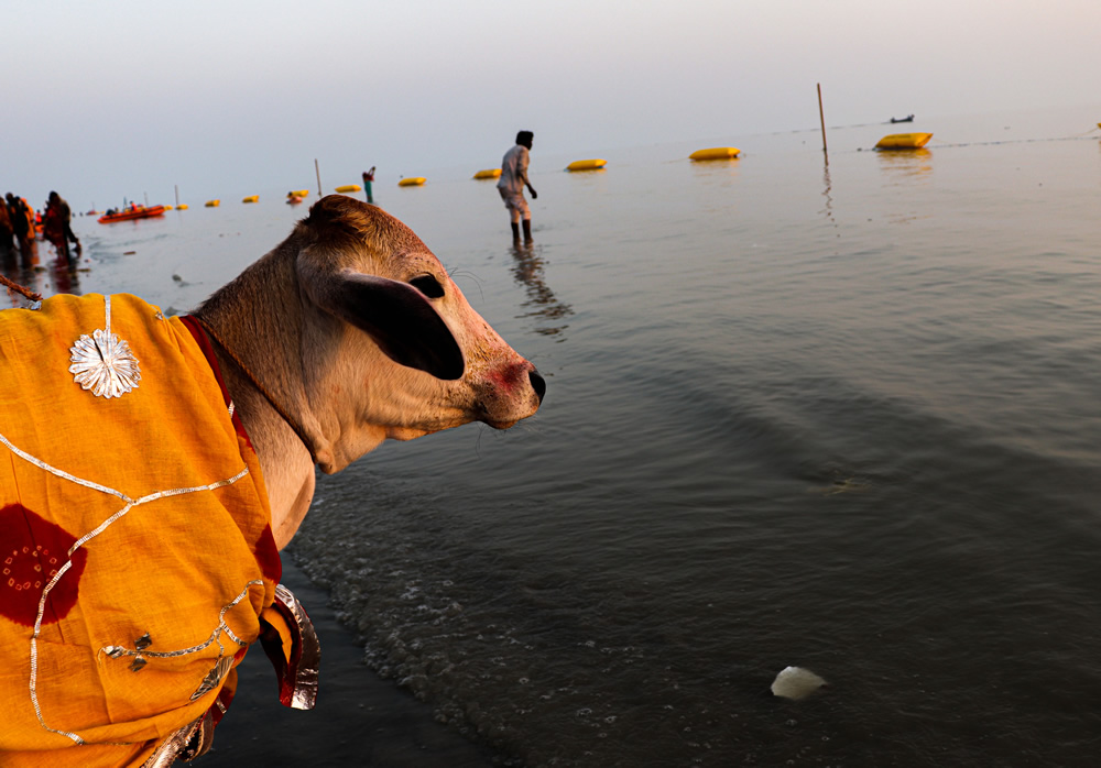 Life And Livings Of Gangasagar Fair By Anaranya Basu