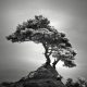 Infrared Silence: Stunning Fine Art Landscapes By Nathan Wirth