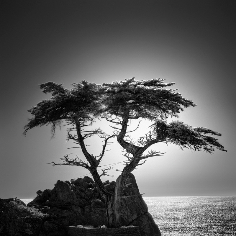 Infrared Silence: Stunning Fine Art Landscapes By Nathan Wirth