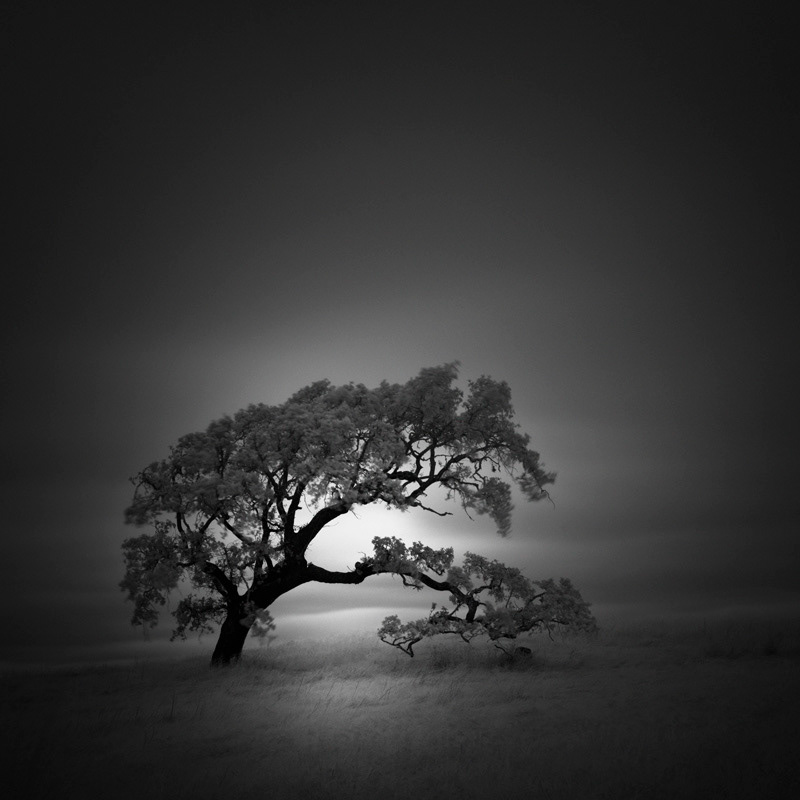 Infrared Silence: Stunning Fine Art Landscapes By Nathan Wirth