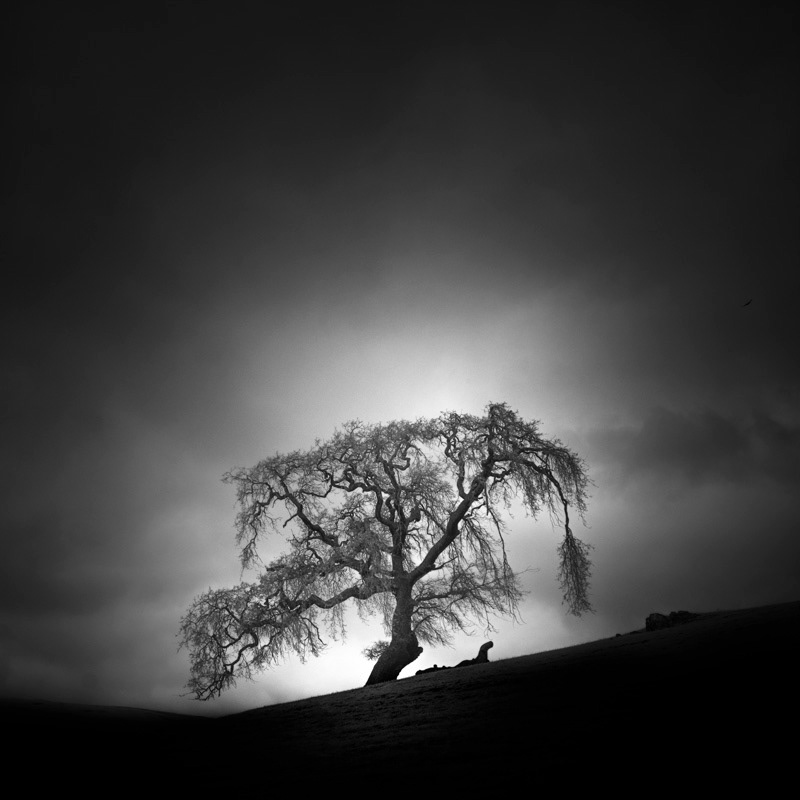 Infrared Silence: Stunning Fine Art Landscapes By Nathan Wirth