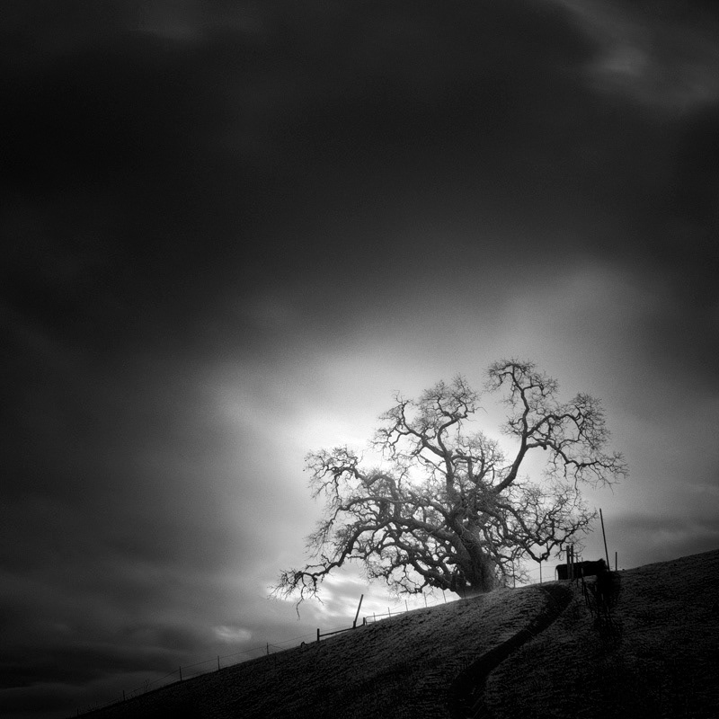 Infrared Silence: Stunning Fine Art Landscapes By Nathan Wirth