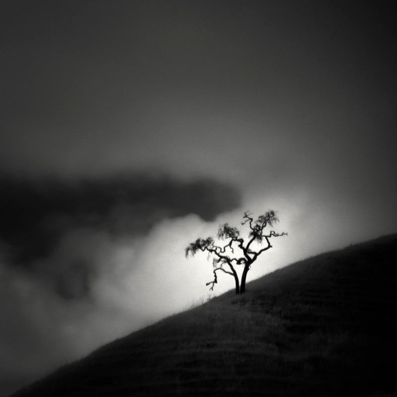 Infrared Silence: Stunning Fine Art Landscapes By Nathan Wirth