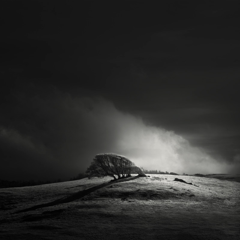 Infrared Silence: Stunning Fine Art Landscapes By Nathan Wirth