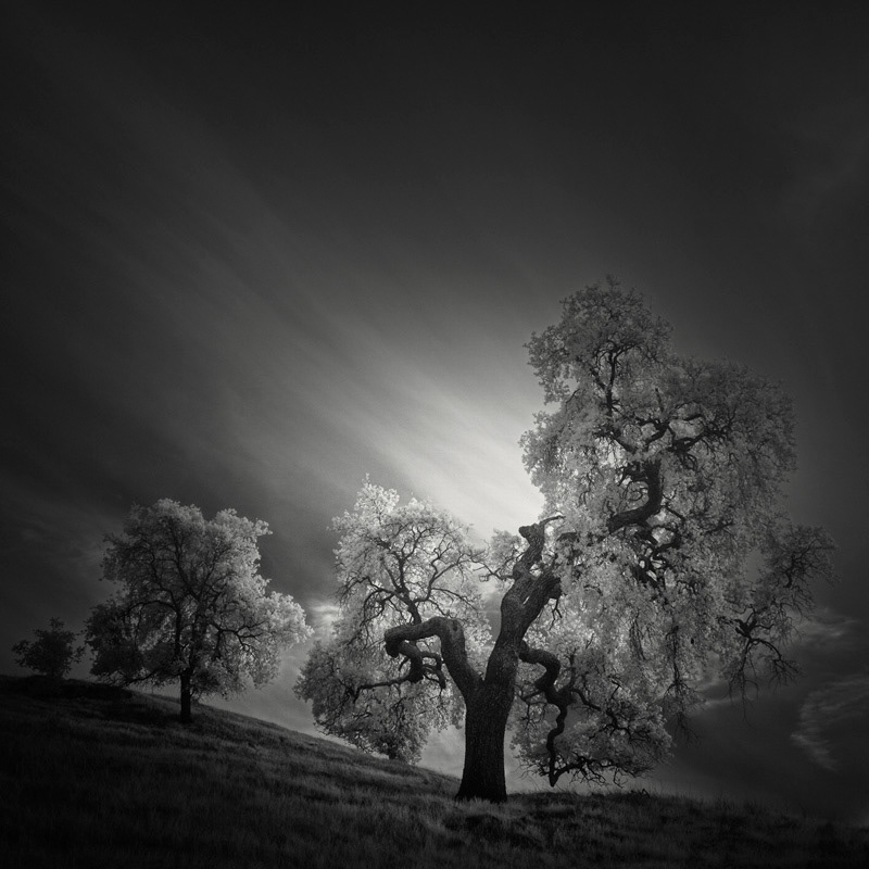 Infrared Silence: Stunning Fine Art Landscapes By Nathan Wirth