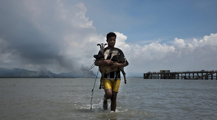 Rohingya Exodus: Photo Series By Moin Chowdhury