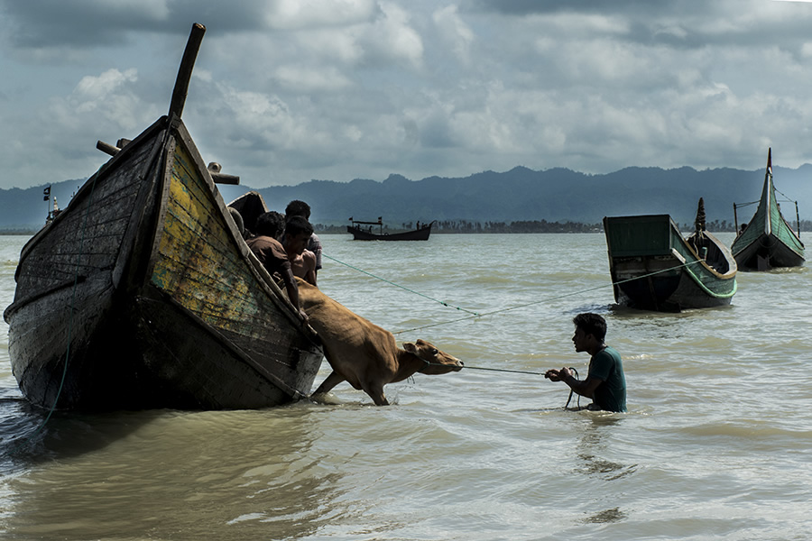 Rohingya Exodus: Photo Series By Moin Chowdhury