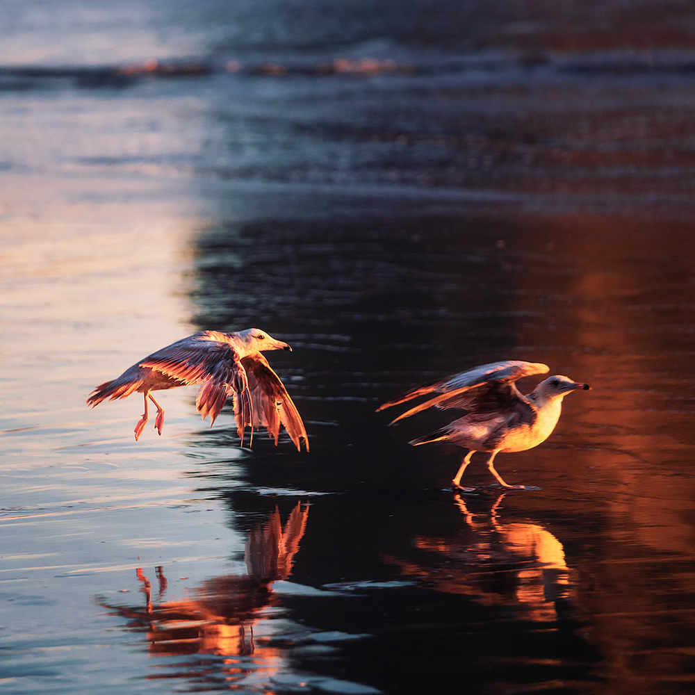 North West: Stunning Landscape Photography By Lukas Furlan