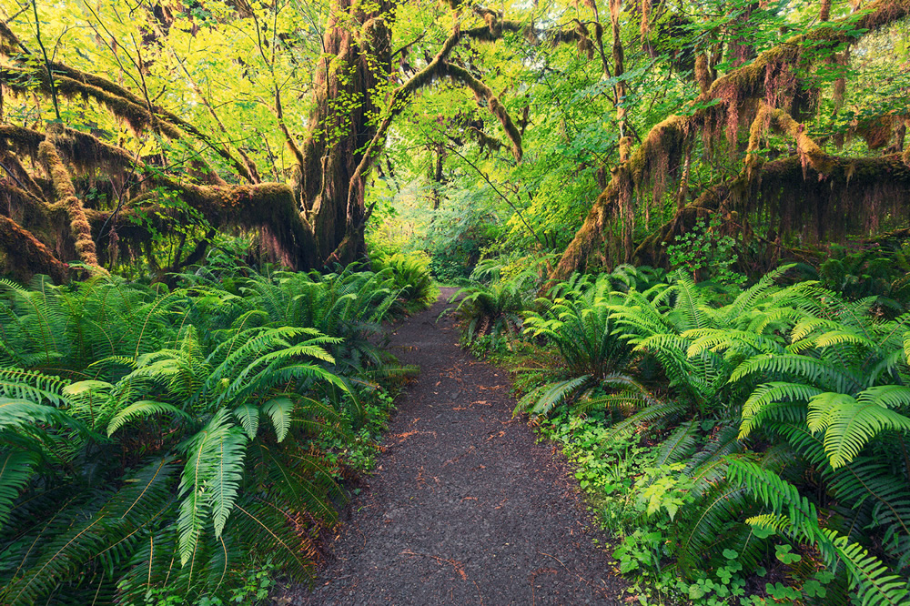 North West: Stunning Landscape Photography By Lukas Furlan