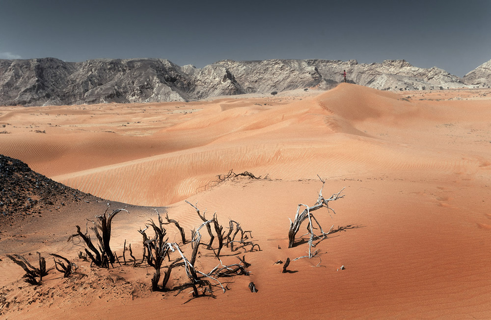 Desert: Between Absence And Memory By Christina Dimitrova