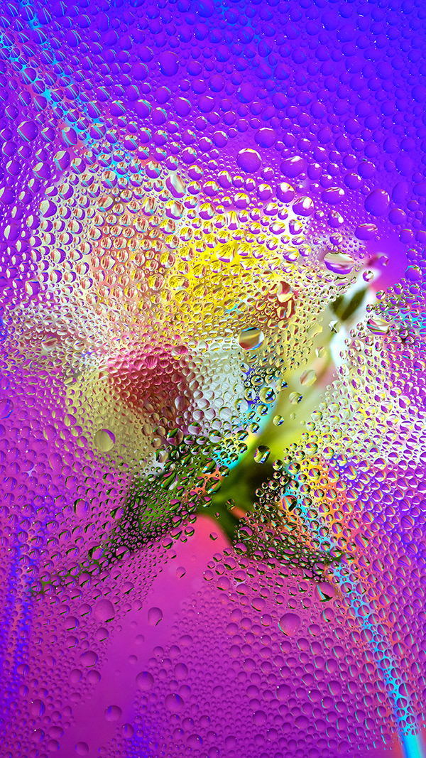 Inside Out: Beautiful Floral Photography By Davy Evans