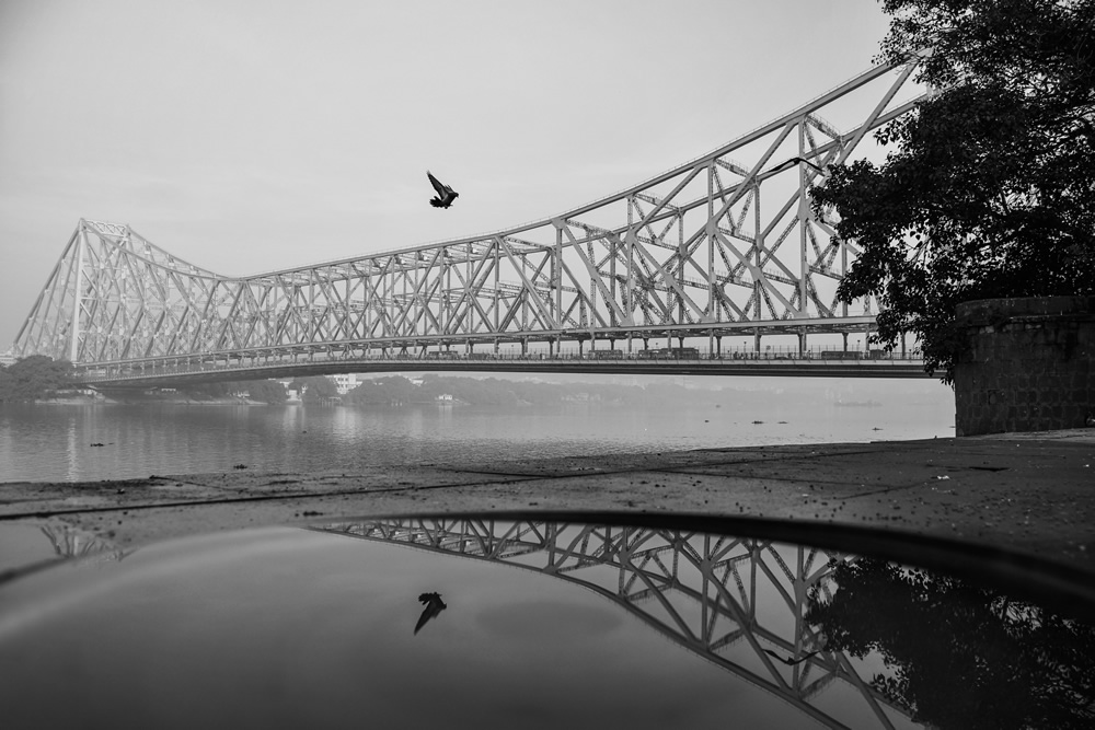 An In-Depth Walking Tour Of India's Famous Mullick Ghat By Md. Sharif Uddin