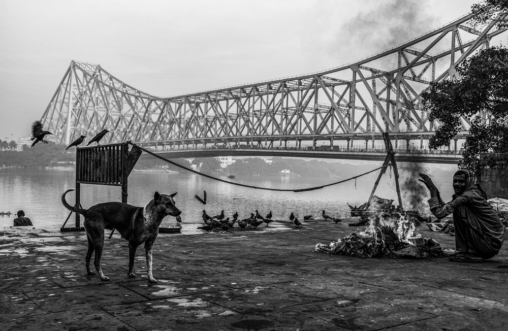 An In-Depth Walking Tour Of India's Famous Mullick Ghat By Md. Sharif Uddin