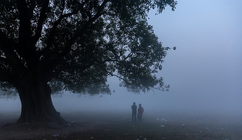 The Lungs Of Kolkata: Photo Series By Pritam Sen