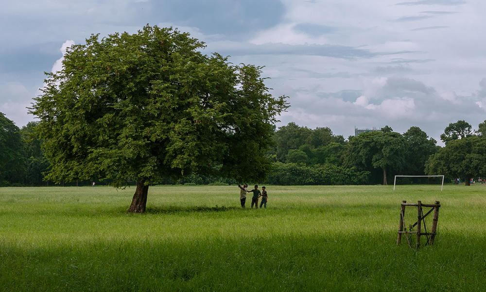 The Lungs Of Kolkata: Photo Series By Pritam Sen