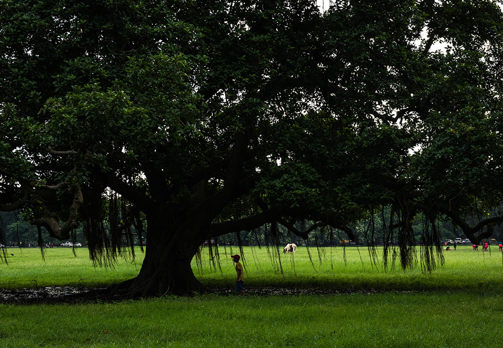 The Lungs Of Kolkata: Photo Series By Pritam Sen