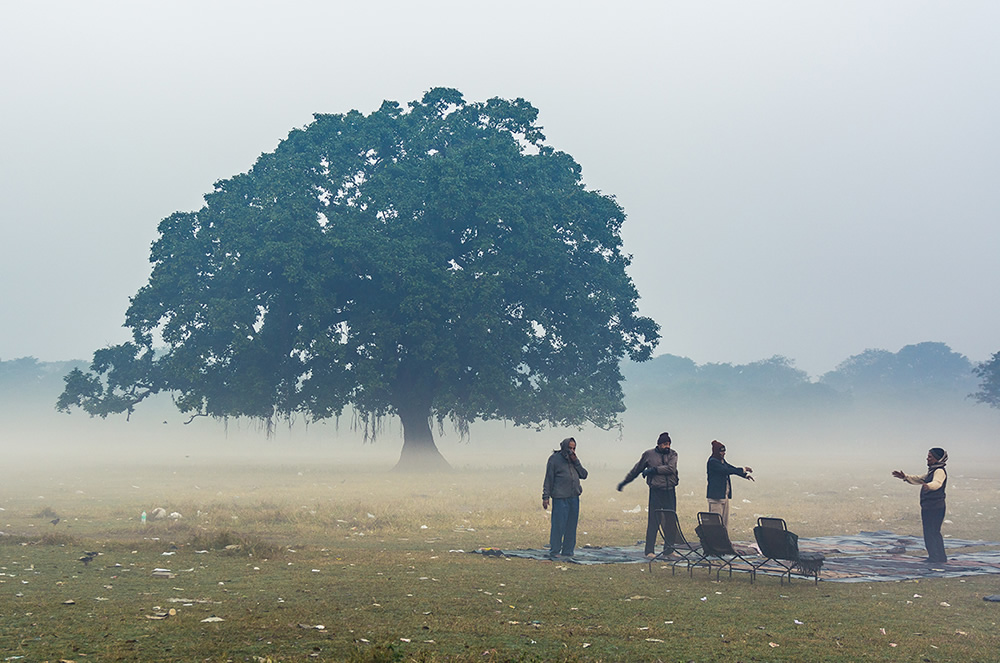 The Lungs Of Kolkata: Photo Series By Pritam Sen