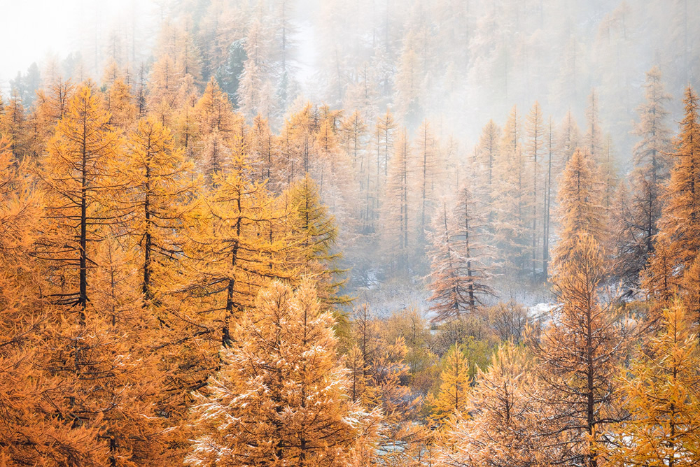 Autumn Poetry: Beautiful Landscapes Of Southern French Alps By David Bouscarle