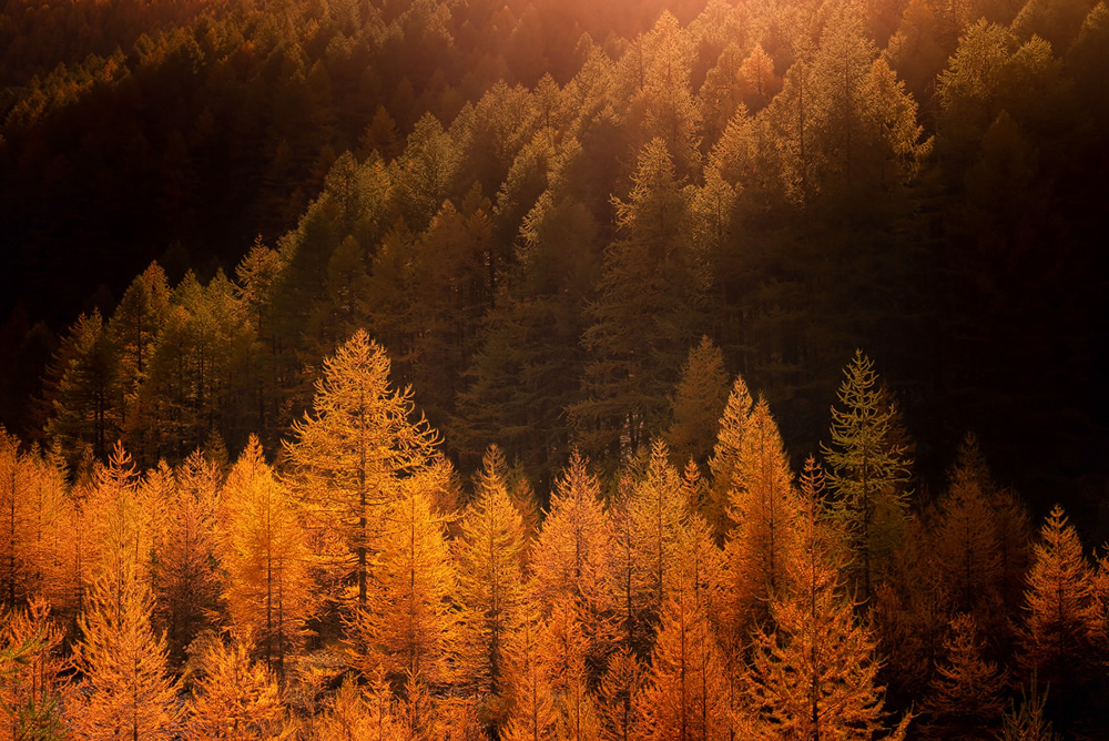 Autumn Poetry: Beautiful Landscapes Of Southern French Alps By David Bouscarle