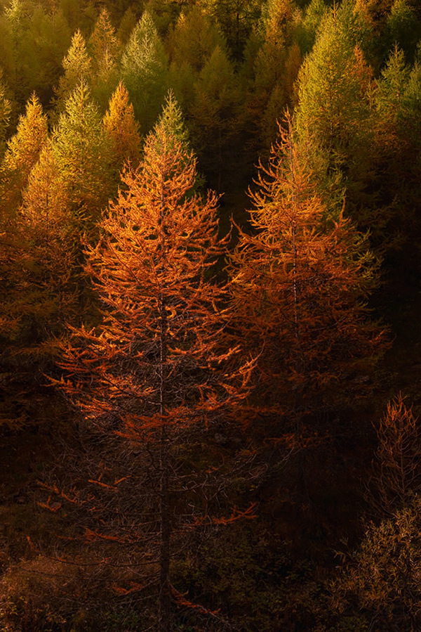 Autumn Poetry: Beautiful Landscapes Of Southern French Alps By David Bouscarle