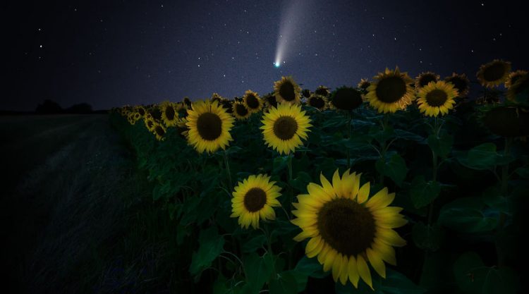 The Beautiful 18 Pictures Of Bulgaria Captured By Nikolai Alexiev