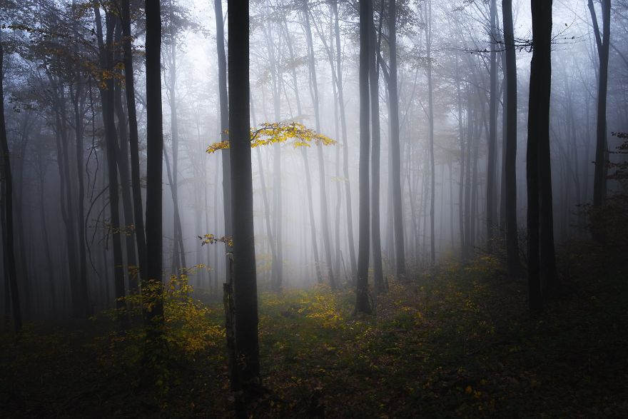 Central Balkan, Stara Mountain