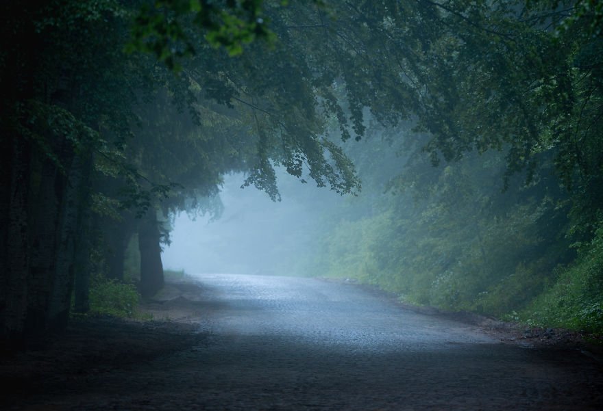 The Misty Road To Heaven, Vitosha Mountain, Bulgaria