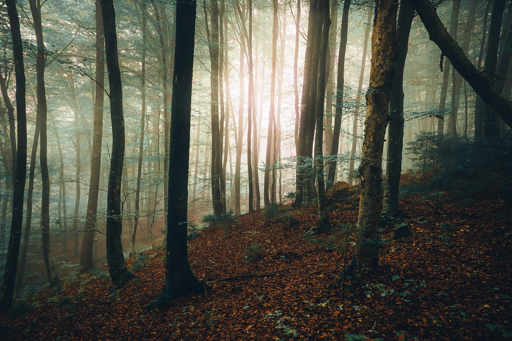 Enter Slovenia: Beautiful Landscape Photography By Tobias Hagg