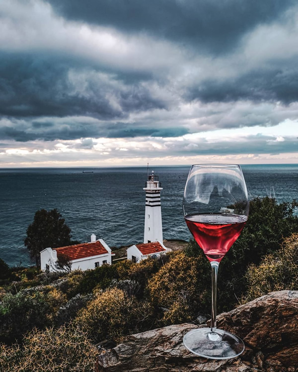 Turkish Photographer Kemal Can OCAK Captures Stunning Wine Photos