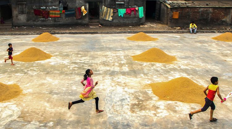 Paddy Grain Drying Process Of Village People By Ehsanul Siddiq Aranya