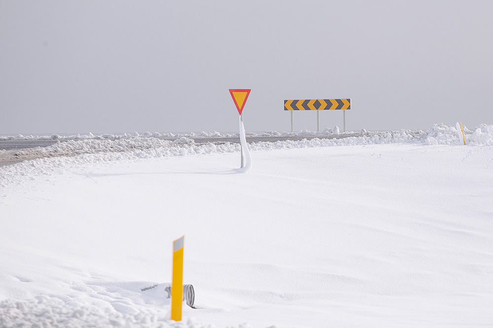 Power Poles: Conceptual Photography Series By Paweł Franik