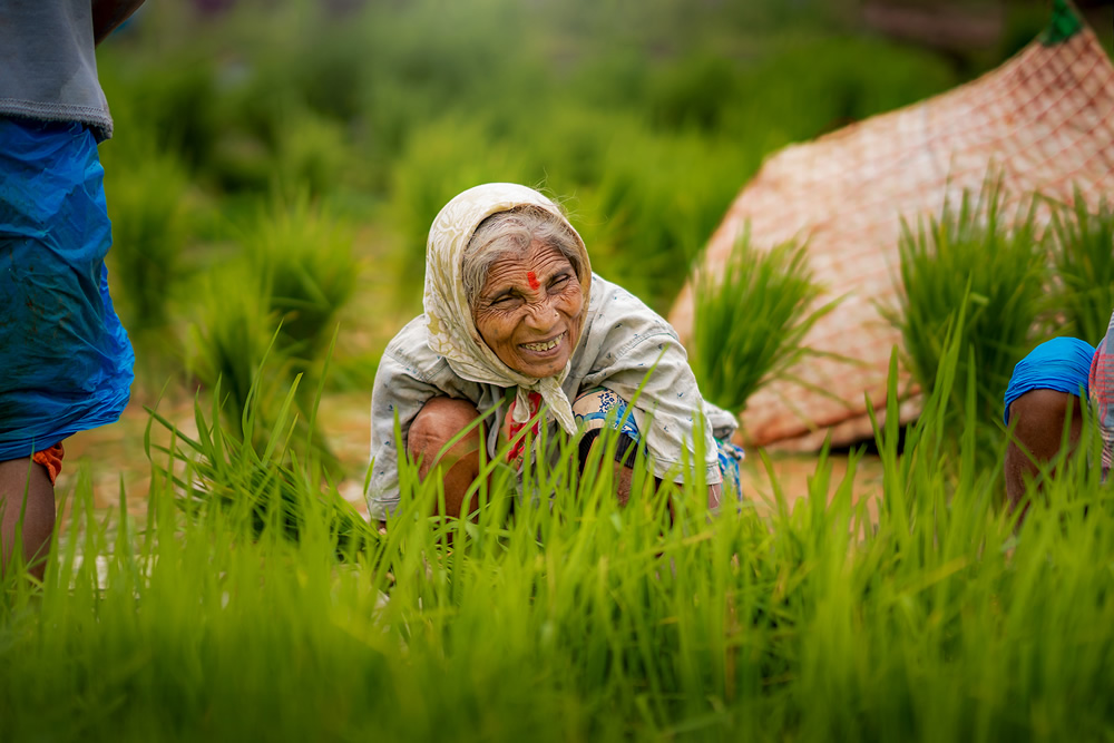 Rice Farming In Konkan, Maharashtra By Krantiveer Shivaji Bhuimbar