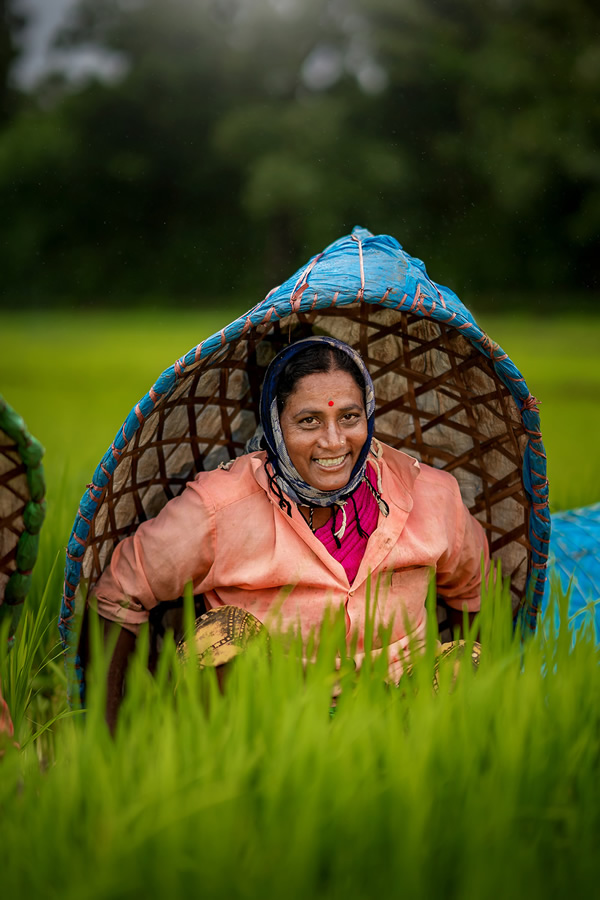 Rice Farming In Konkan, Maharashtra By Krantiveer Shivaji Bhuimbar