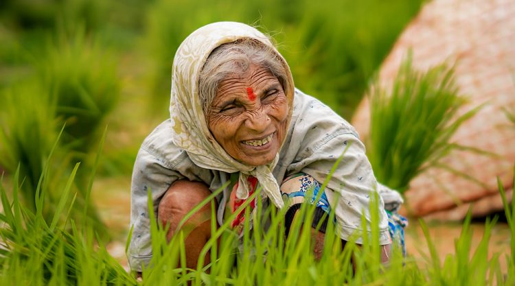 Rice Farming In Konkan, Maharashtra By Krantiveer Shivaji Bhuimbar