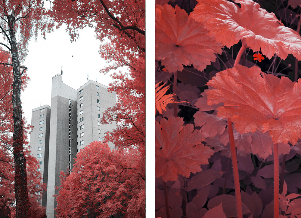 The Strange Series: A Study Of Experimental Infrared Photography by Roland Kramer