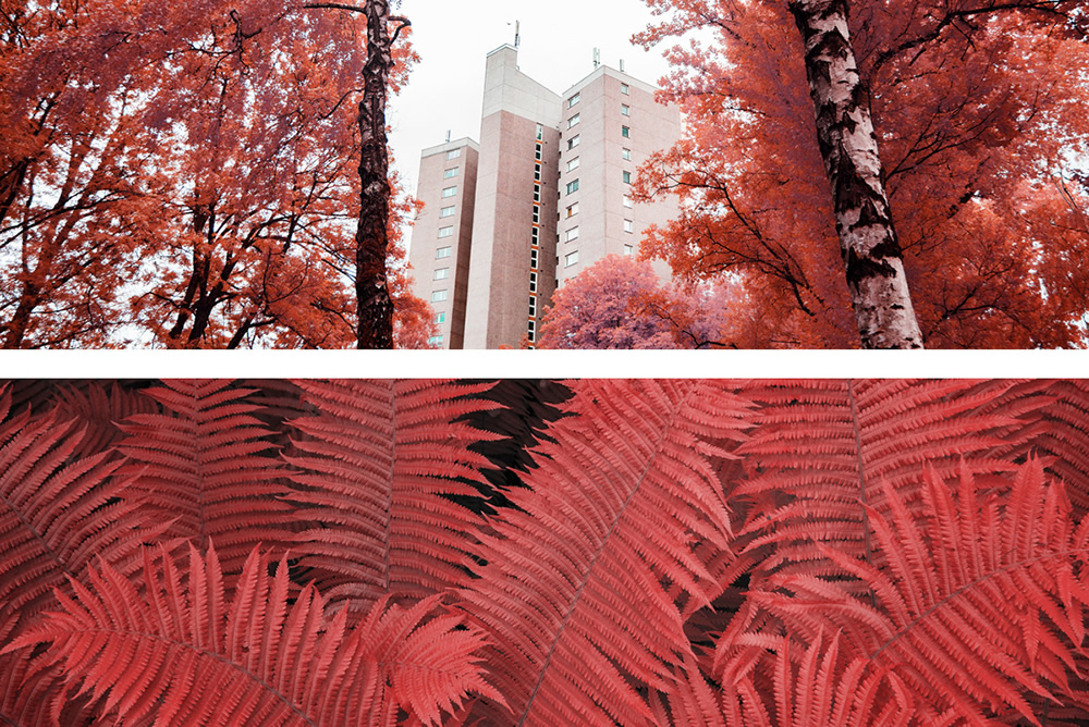 The Strange Series: A Study Of Experimental Infrared Photography by Roland Kramer