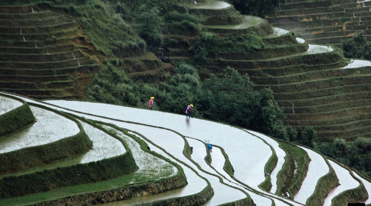 >Tiantouzhai Village - Landscape Terrace Series by Florian Delalee