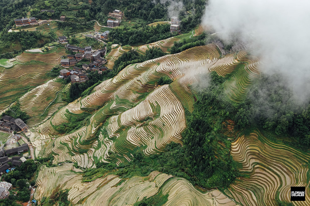 Tiantouzhai Village - Landscape Terrace Series by Florian Delalee