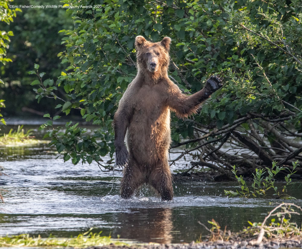 Hi Yall by Eric Fisher