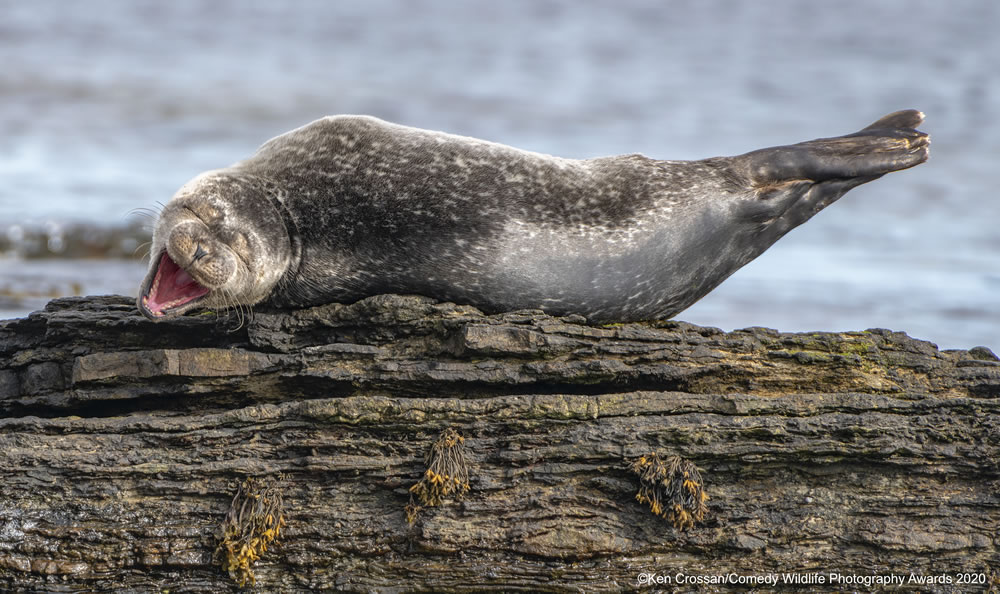 Having a Laugh by Ken Crossan