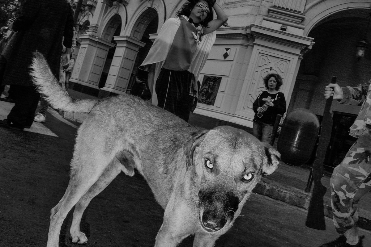 My Personal Best: Peruvian Street Photographer Arturo Canedo