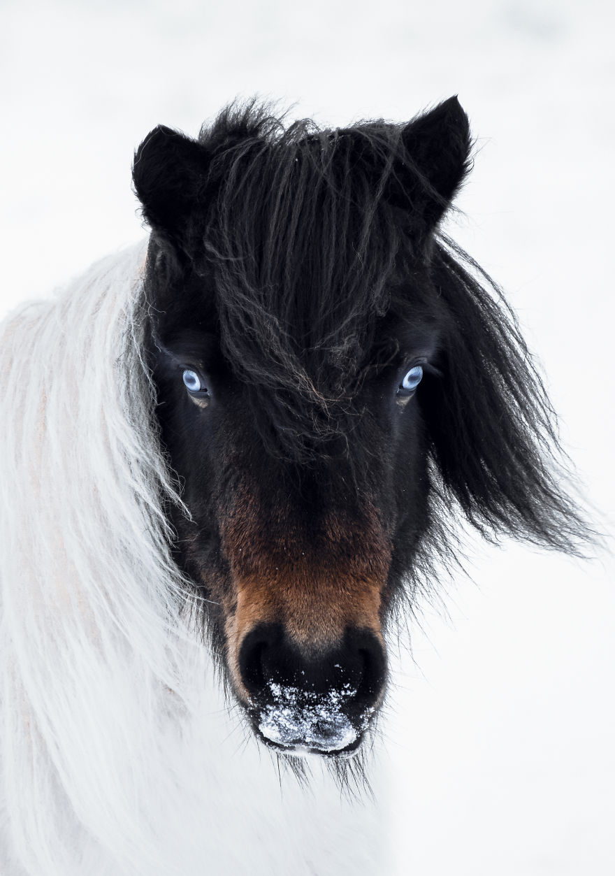 Incomparable Iceland: Beautiful Landscapes By Signe Fogelqvist